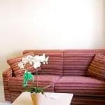 住宿加早餐酒店 Minihotel Iris 马奥莱